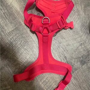 Red Dog Harness